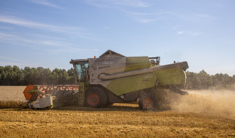 Белёвский и Куркинский районы получат 110 млн рублей на развитие сельских территорий