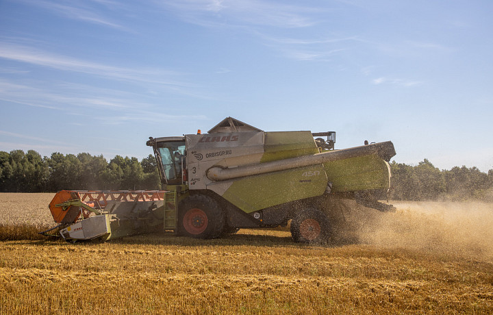 Белёвский и Куркинский районы получат 110 млн рублей на развитие сельских территорий