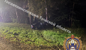 Иномарка врезалась в столб и улетела в кювет в тульском поселке Октябрьский