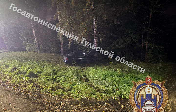 Иномарка врезалась в столб и улетела в кювет в тульском поселке Октябрьский
