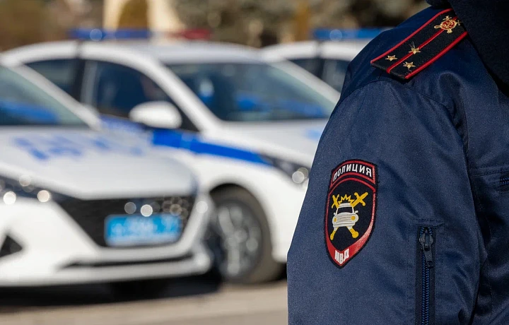 В Новомосковске полиция задержала подозреваемую в краже товаров из магазина