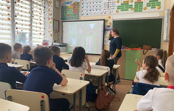 В тульской школе прошла акция «Елочка, живи!»