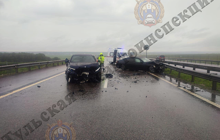 В Тульской области на трассе М-4 водитель BMW врезался в стоявший на обочине автомобиль