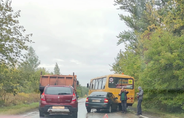 В Щекинском районе произошло ДТП с участием школьного автобуса