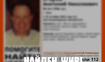 Пропавший в Туле 80-летний пенсионер найден живым