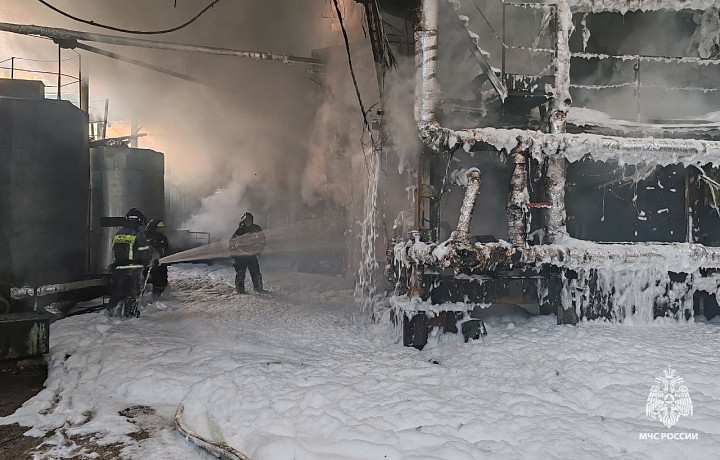 Тульские спасатели потушили шесть пожаров за прошедшие сутки