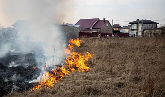 Спасатели поймали 146 поджигателей травы в Тульской области