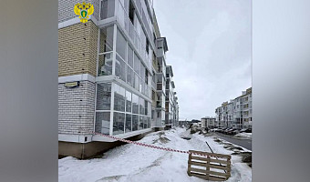 УК «ТРИС» проверили после обрушения козырька подъезда в Петровском