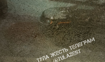 В Туле вандалы разбили стекло трамвая на улице Михеева