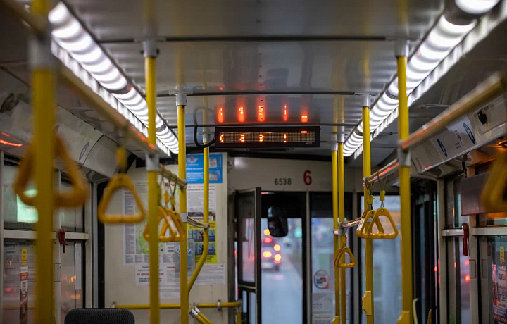 Тульская администрация подтвердила, что девочка, найденная в троллейбусе, сбежала из частного центра