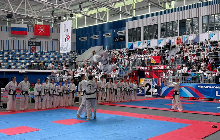 В Туле проходит чемпионат и первенство по тхэквондо