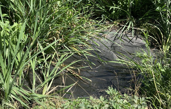 В тульском поселке Молодежный стоки выливались в местный водоем