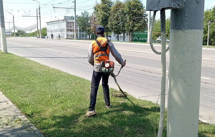 В Туле 18 июля уберут улицы и окосят газоны