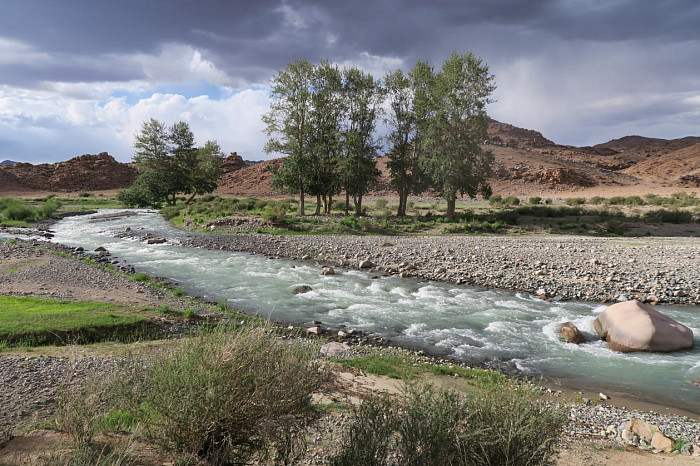 Тулячка путешествует на велосипеде по всему миру: добиралась до Индии и под впечатлением от российского Севера