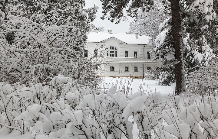 Тульский музей «Ясная Поляна» выделит больше миллиона рублей на реставрацию рамы для портрета Волконского