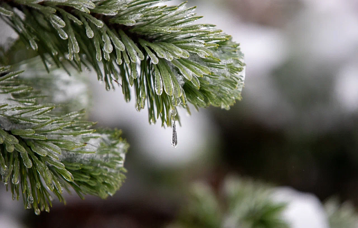 24 ноября Тулу ожидает пасмурная погода, снег и -1 градус