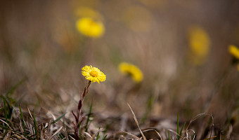 Синоптик дал прогноз погоды на неделю: в Туле прогнозируется до +9 и небольшие осадки