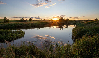 Солнце и до +24 градусов тепла: прогноз погоды в Туле на 16 августа