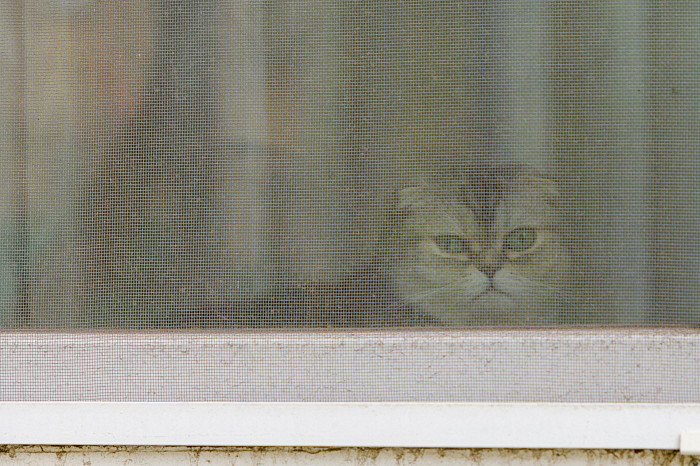 «Все это рухнет людям на голову»: Почему 70-летний разваливающийся деревянный дом по улице Шухова в Туле до сих пор не могут признать аварийным
