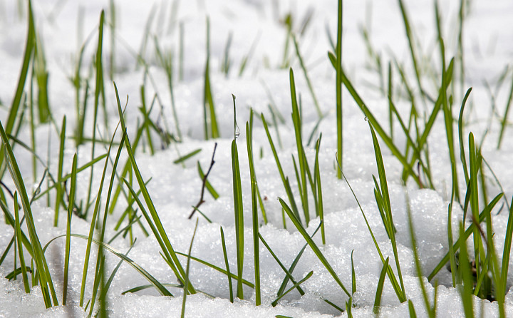 В Тульской области ждут новый удар стихии: непогода задержится до 19 часов