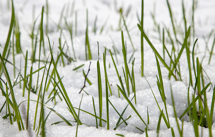 В Тульской области ждут новый удар стихии: непогода задержится до 19 часов