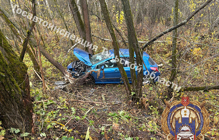 В Тульской области девушка на иномарке съехала в кювет и врезалась в дерево