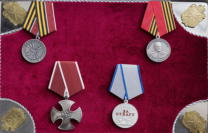 В Туле семьям погибших участников СВО передали госнаграды