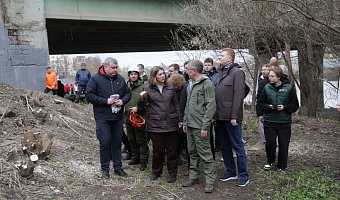 «Общий труд всегда сплачивает людей»: Дмитрий Миляев принял участие во Всероссийском субботнике