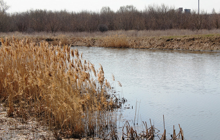 В Тульской области реализуют проект по сбережению водных богатств России