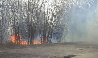 Трава загорелась на Калужском шоссе в Туле