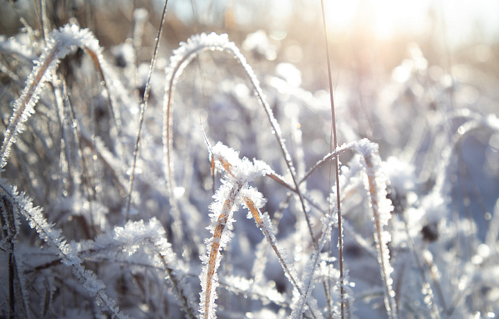 22 и 23 февраля станут самыми холодными днями текущей недели в Тульской области