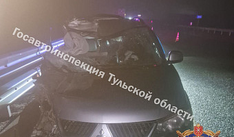 На трассе М-4 «Дон» под Ефремовым столкнулись Mitsubishi и грузовик