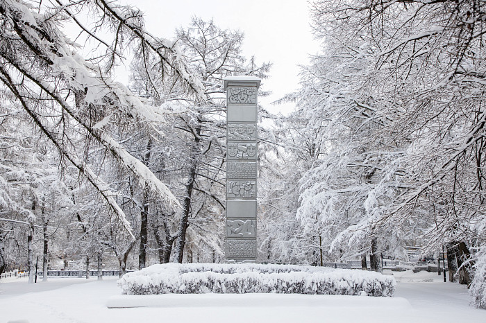 Тулу засыпало снегом: как в городе борются с последствиями стихии