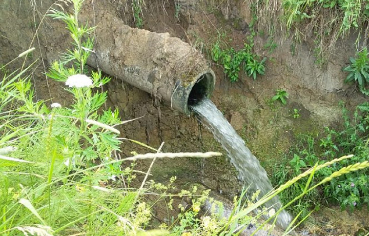 В Ясногорске ассенизаторские машины сливали нечистоты прямо в поле