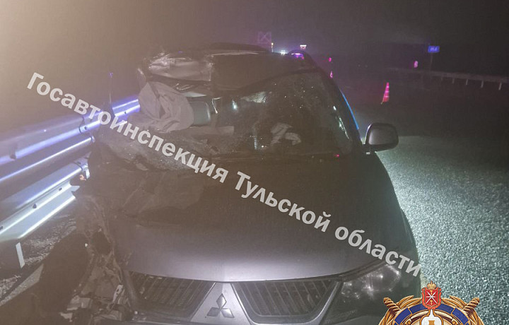 На трассе М-4 «Дон» под Ефремовым столкнулись Mitsubishi и грузовик