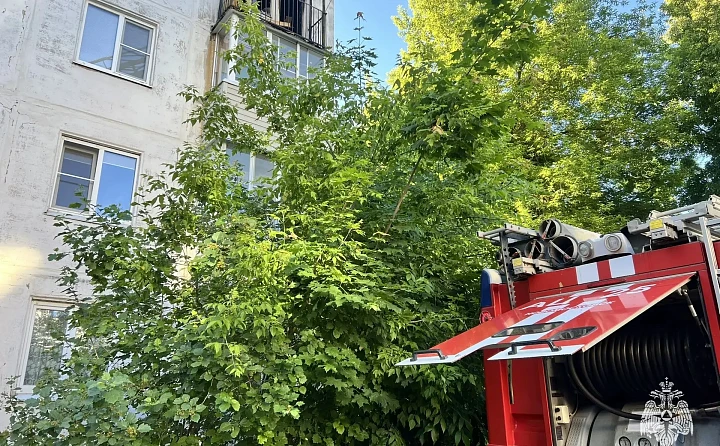 При пожаре в Новомосковске Тульской области погибли два человека