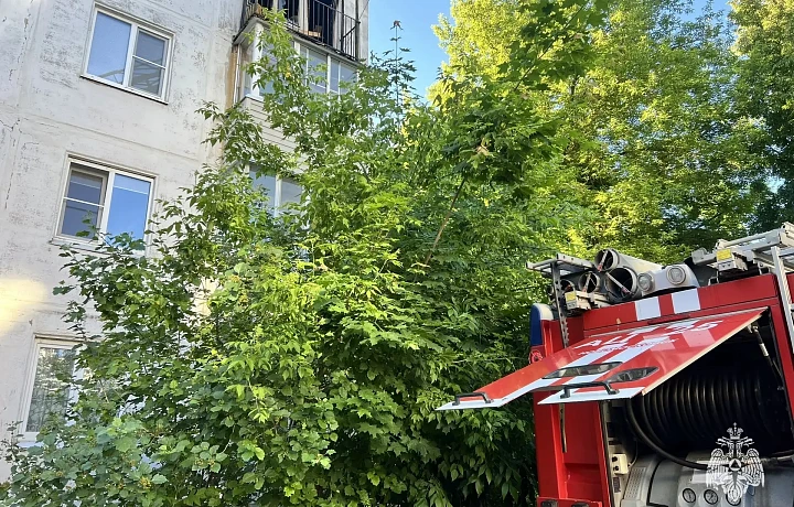 При пожаре в Новомосковске Тульской области погибли два человека
