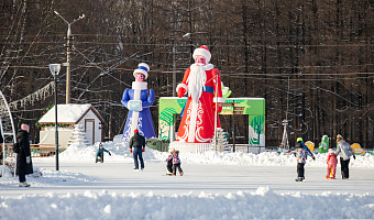 Полиция напомнила тулякам о правилах безопасности детей в каникулы