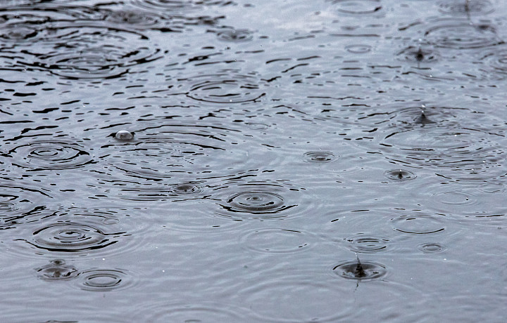 28-градусное тепло и дожди: озвучен прогноз погоды в Туле и области на пятницу, 25 июля