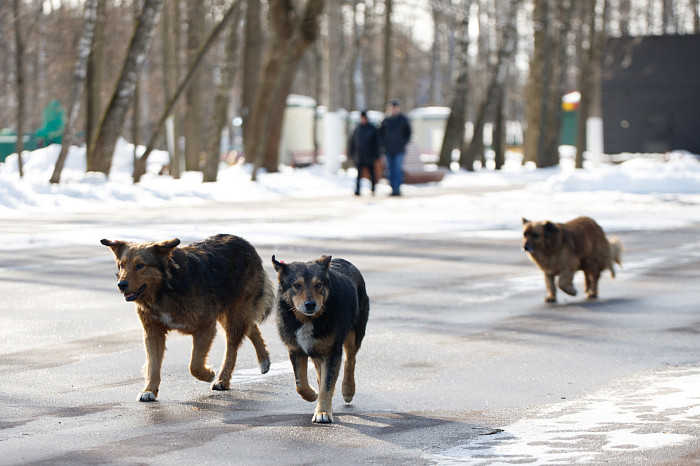 Дети на катке, бабушки – на качелях: в Тульскую область пришла календарная весна