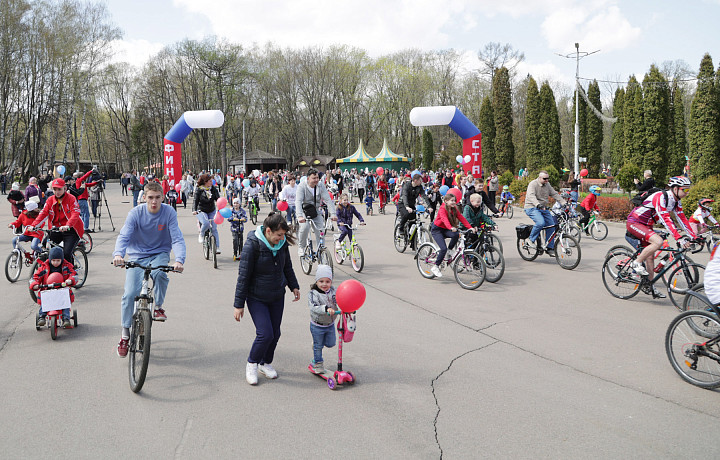 Тульская область приняла участие во Всероссийском семейном велопробеге