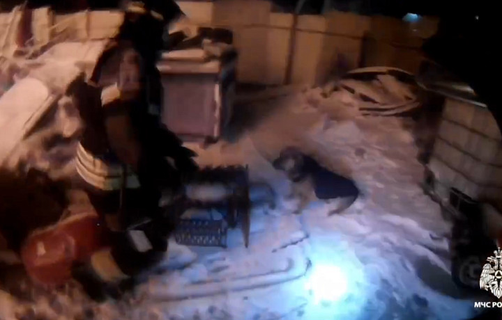 Спасатели освободили собаку во время пожара в частном доме в Донском