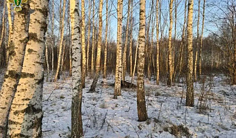 Трое браконьеров в Веневском районе оштрафованы на 750 тысяч рублей