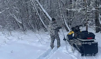 В Тульской области начали зимний учёт диких животных