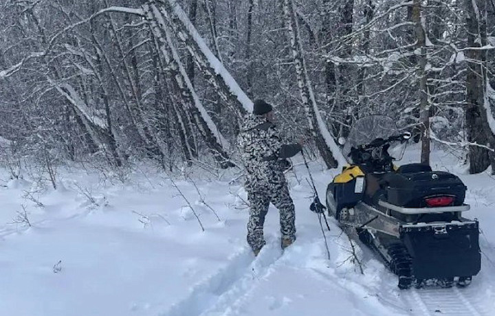 В Тульской области начали зимний учёт диких животных