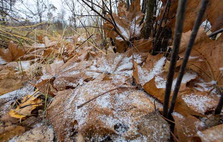 В выходные в Туле похолодает до -4 градусов