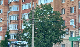 Первые фото тополиного пуха появились в Туле 3 июня
