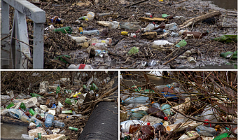 Пора искупить вину, поросята: почему Тула весной снова тонет в мусоре?