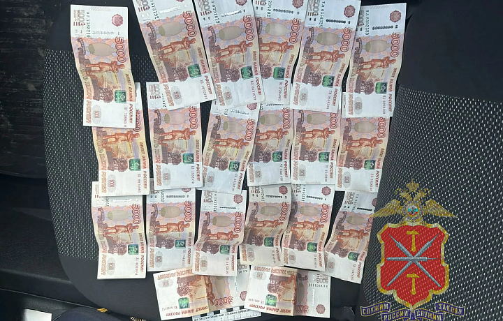 Жительница Ясногорска пыталась за взятку «купить» свободу своему родственнику