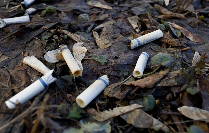 День без табака: сколько жителей Тульской области курят, как это вредит здоровью, безопасны ли вейпы и можно ли избавиться от зависимости 